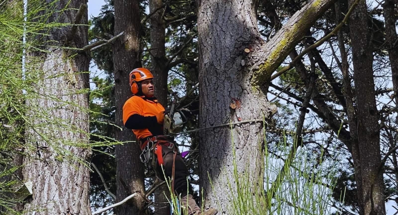 R&J Tree Services — photo 1