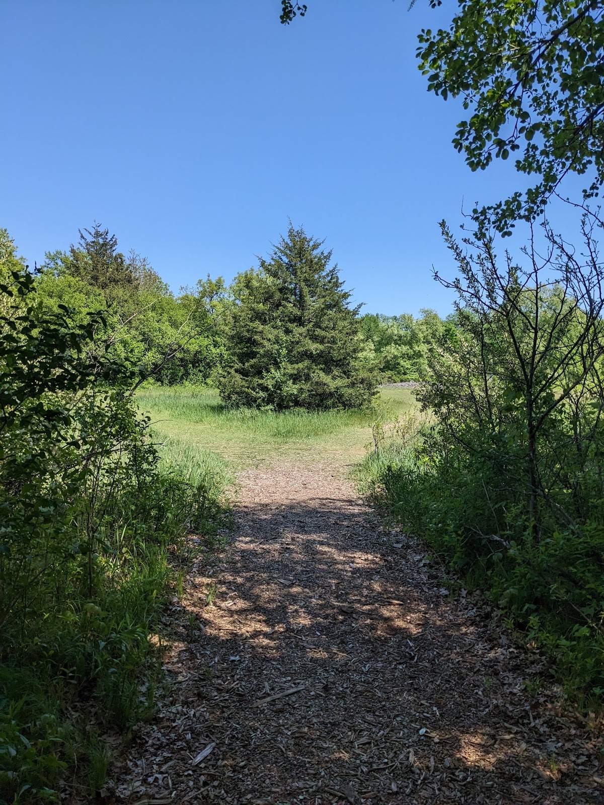 Sandy Knoll County Park — photo 5