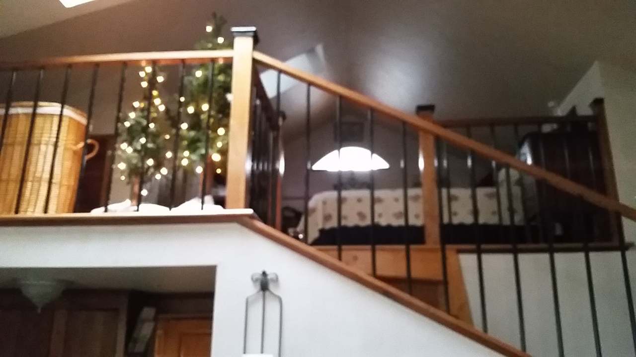 Bed And Breakfast Garden House — photo 7