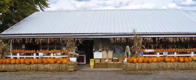 Witte's Vegetable Farm LLC — photo 1