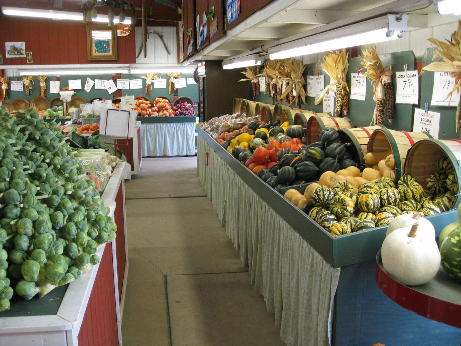 Witte's Vegetable Farm LLC — photo 2
