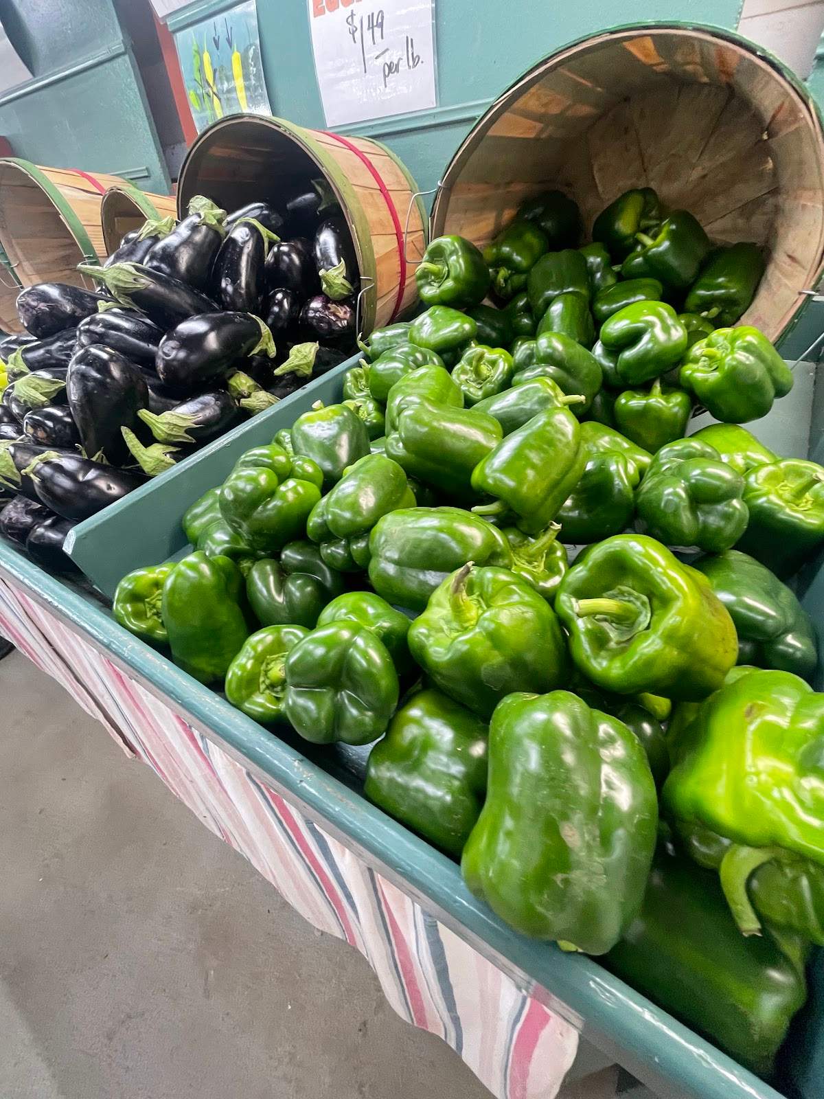 Witte's Vegetable Farm LLC — photo 4