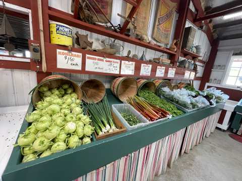 Witte's Vegetable Farm LLC — photo 5