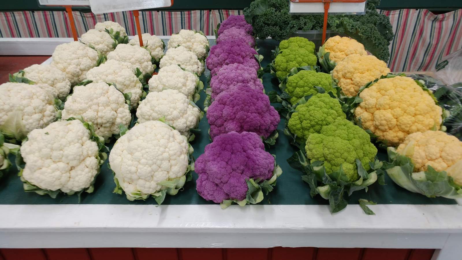 Witte's Vegetable Farm LLC — photo 6