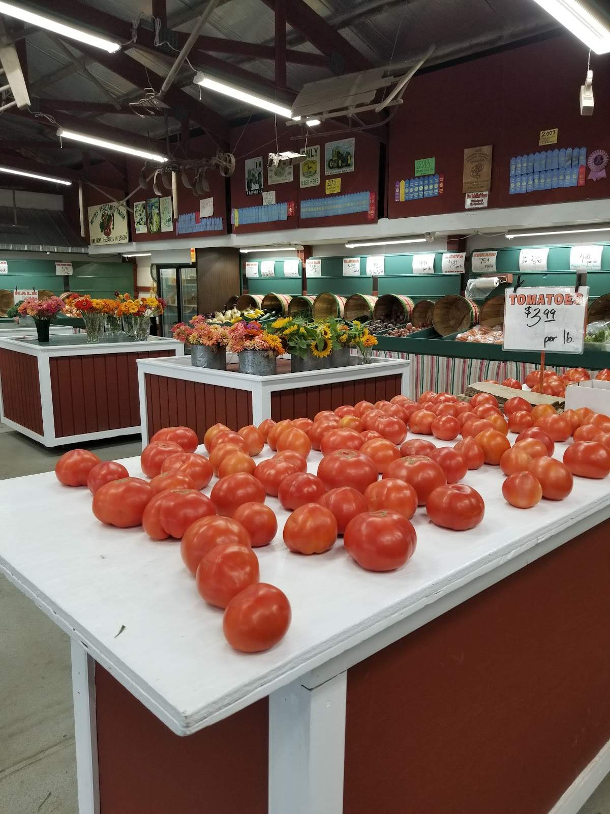 Witte's Vegetable Farm LLC — photo 8