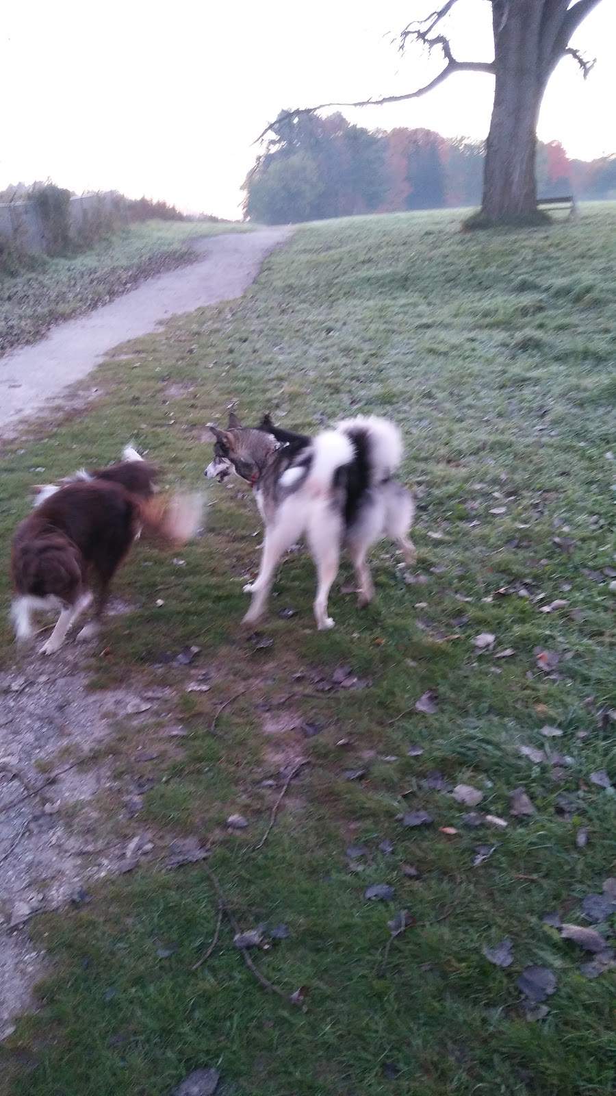 Sheboygan Dog Park — photo 2