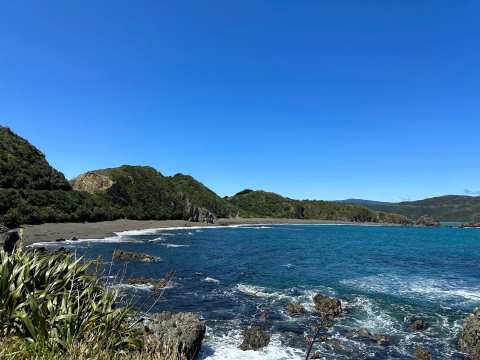 Evans Bay Beach, Wellington — photo 2