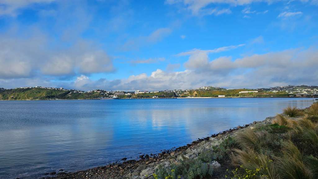 Evans Bay Beach, Wellington