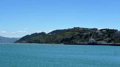 Evans Bay Beach, Wellington — photo 3