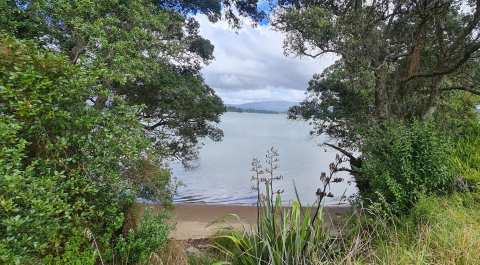 Tamawhariua Reserve/Foreshore walkway — photo 3