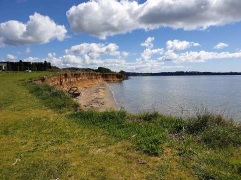 Tamawhariua Reserve/Foreshore walkway — photo 2