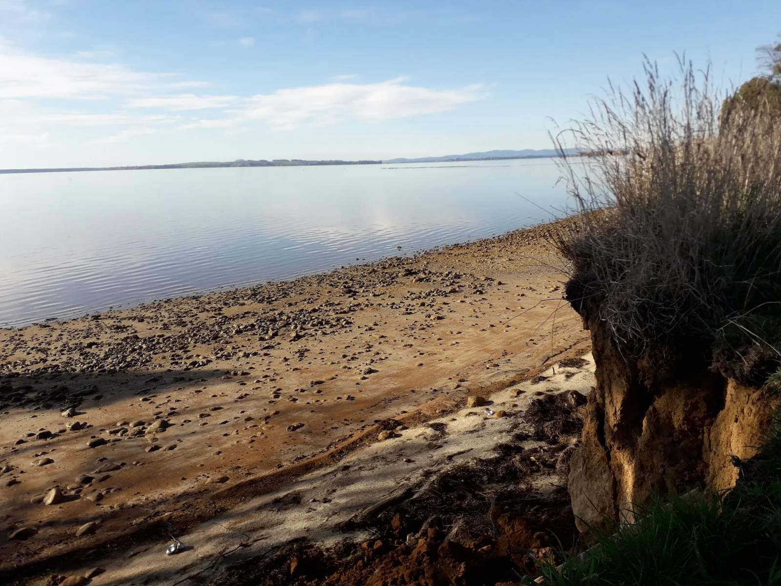 Tamawhariua Reserve/Foreshore walkway — photo 1