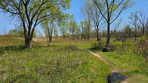 Grobschmidt Park — photo 2