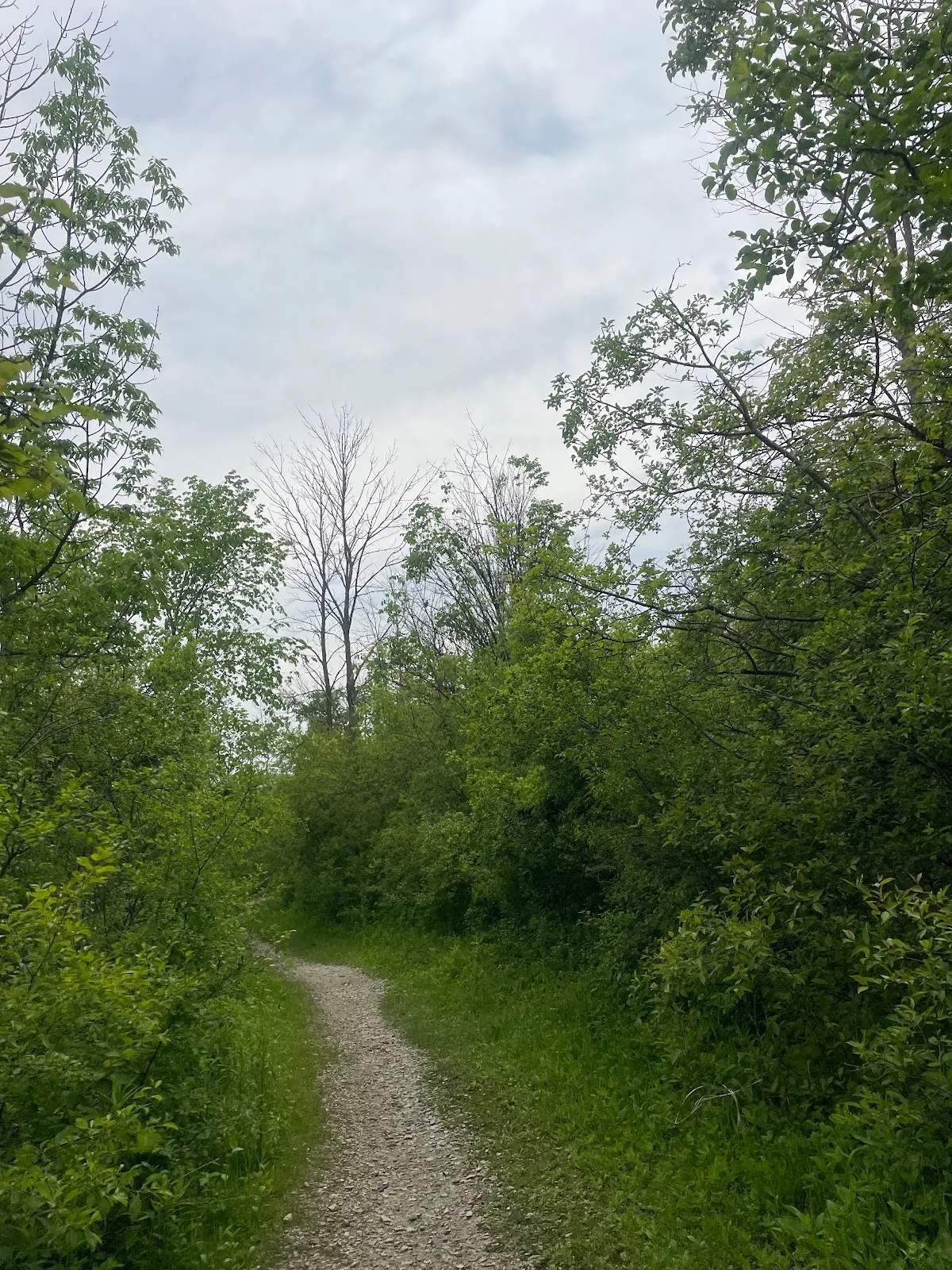Grobschmidt Park — photo 3