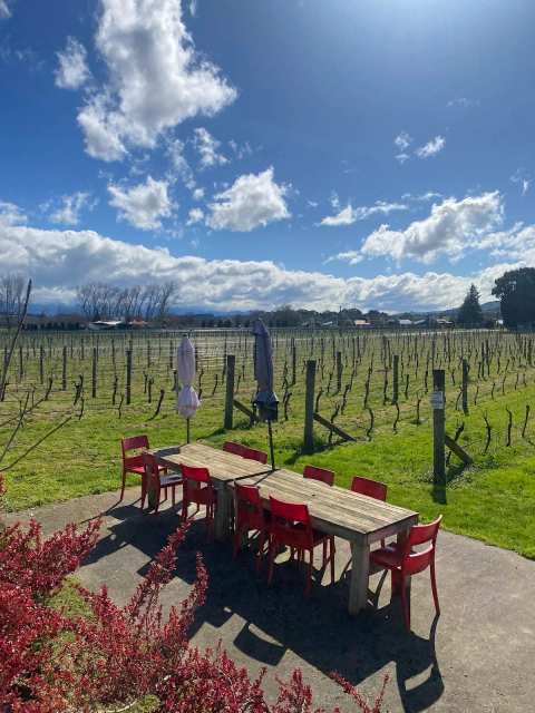 Margrain Vineyard — photo 2