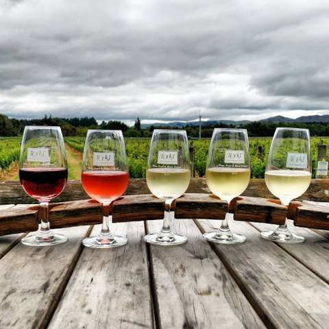 Margrain Vineyard — photo 3