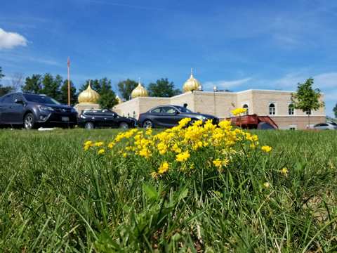 Sikh Temple of Wisconsin — photo 4