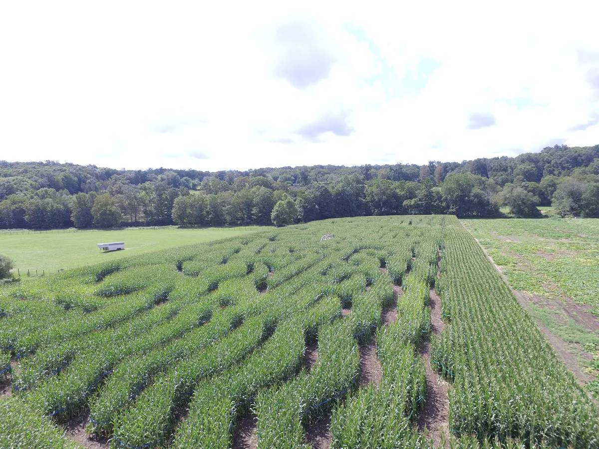 The Farm, Woodbury CT — photo 1