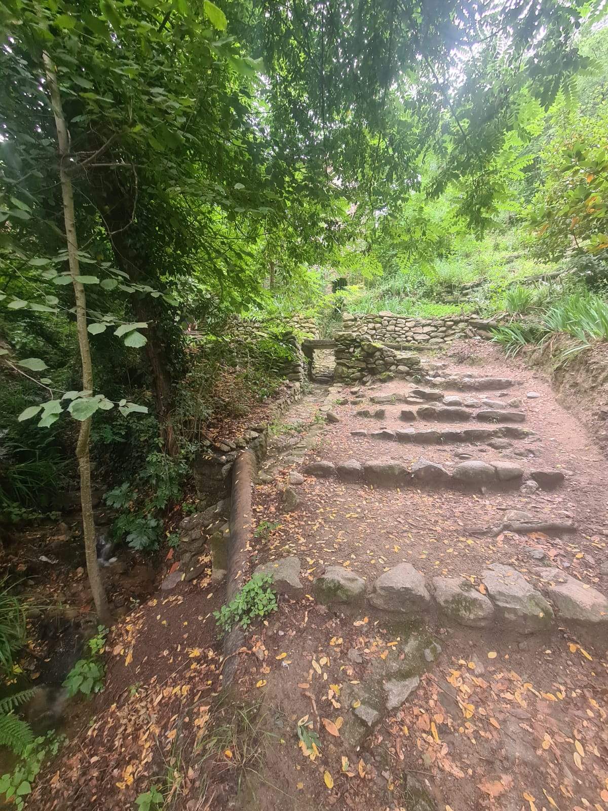 Laroque-des-Albères Tourisme — photo 3