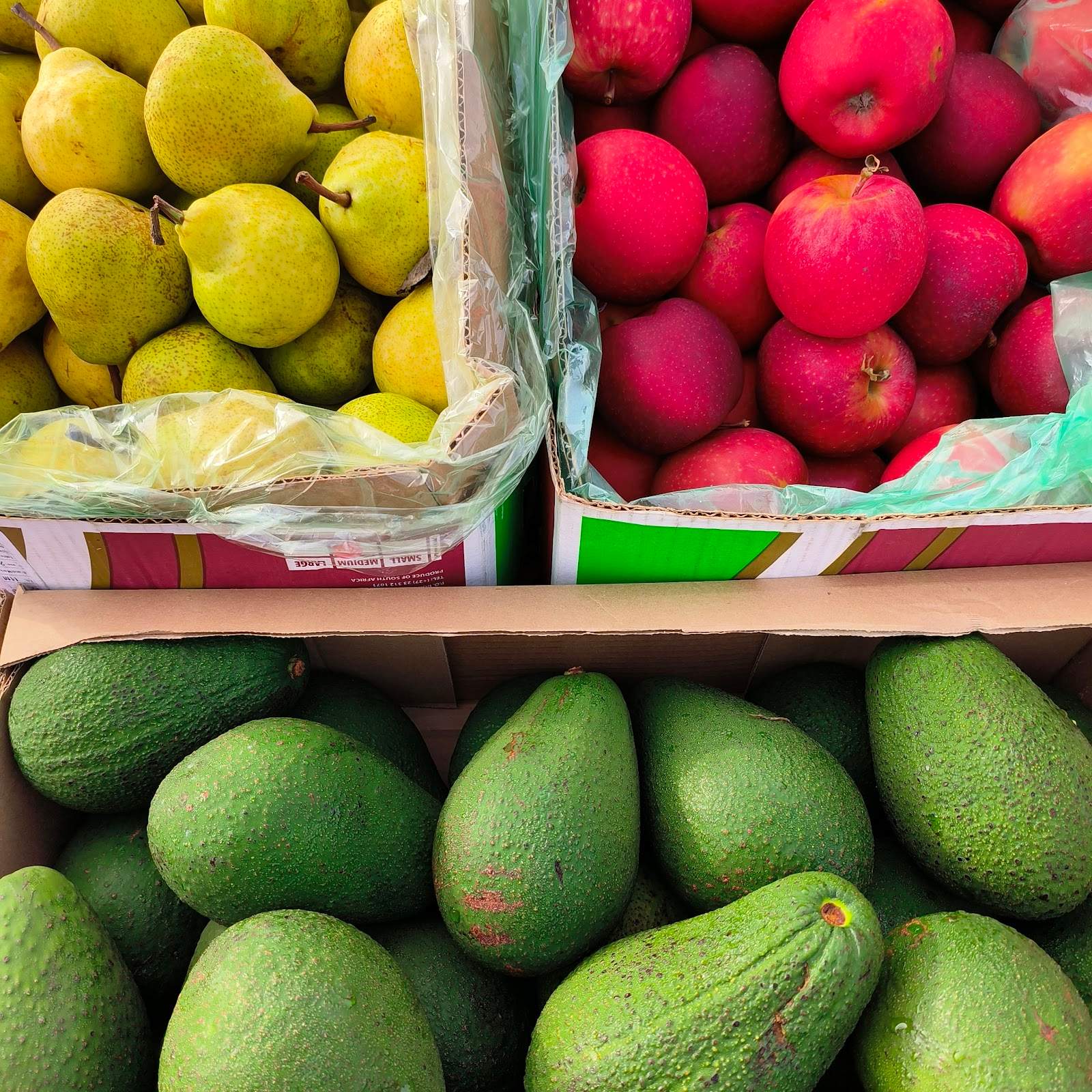 Salt Rock Farmers Market — photo 2