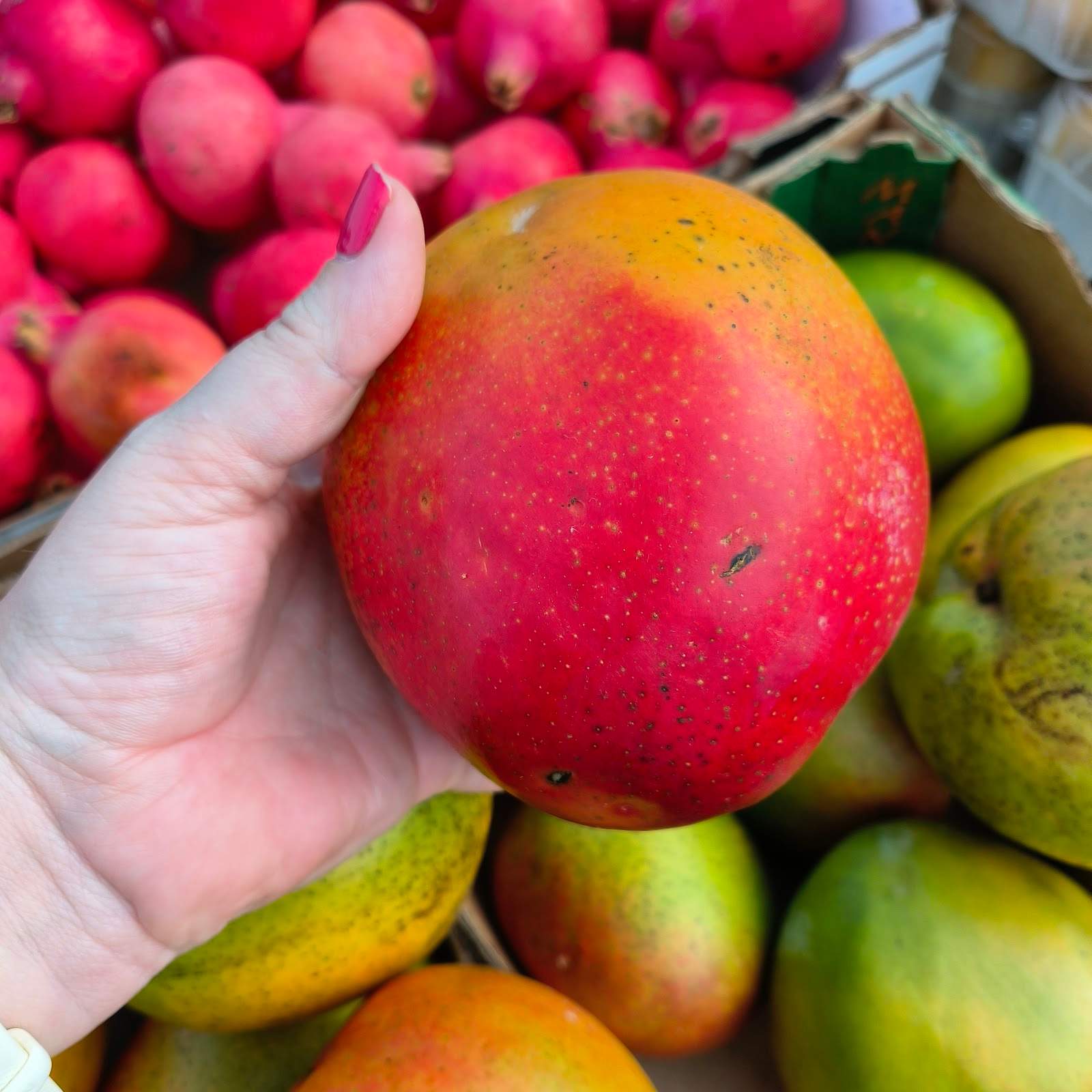 Salt Rock Farmers Market — photo 4
