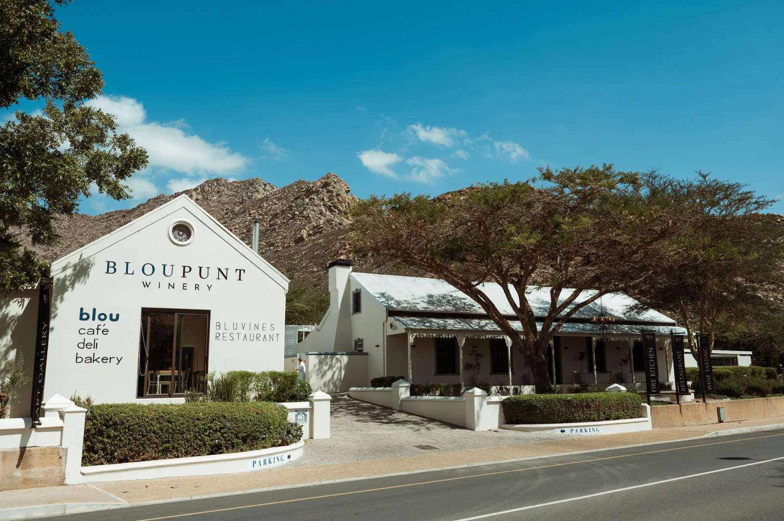 Bloupunt Winery — photo 3