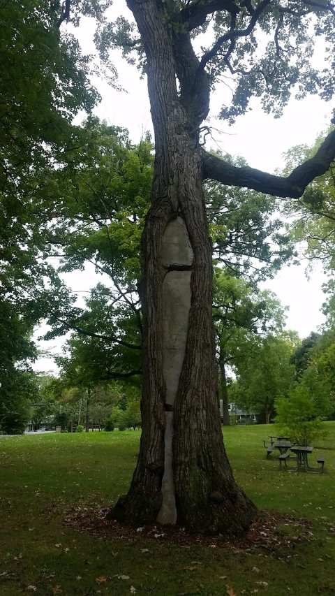 Wildwood Park District — photo 2