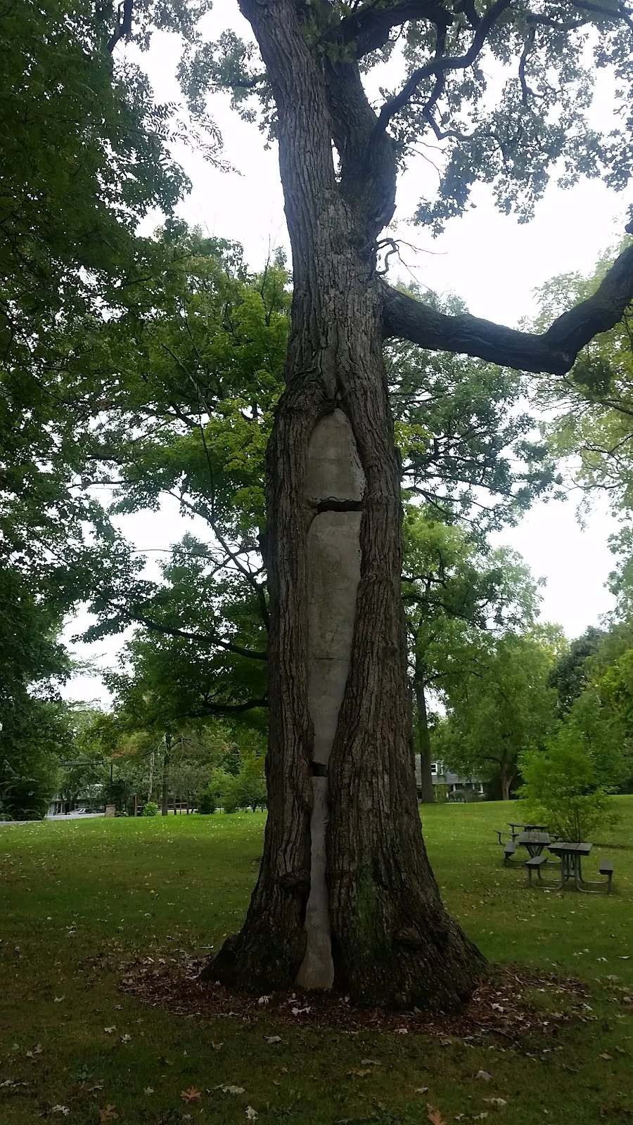 Wildwood Park District — photo 2