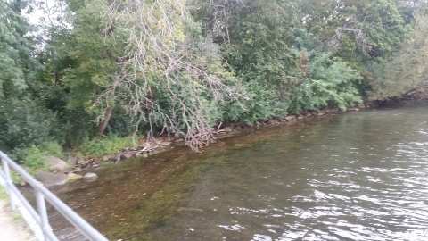 Wildwood Park District — photo 3