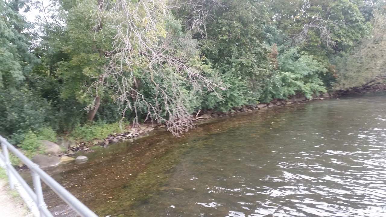 Wildwood Park District — photo 3