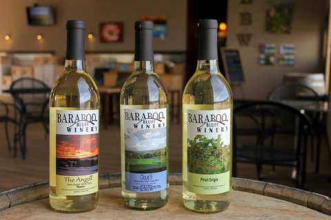 Baraboo Bluff Winery — photo 2