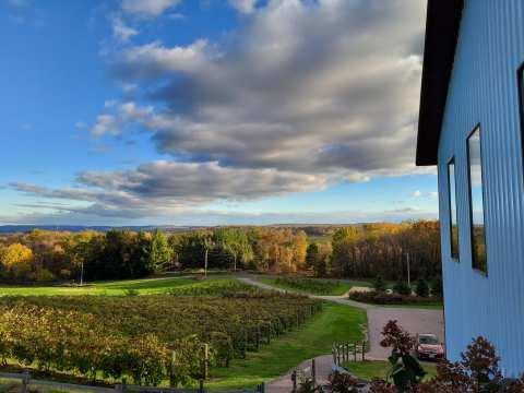 Baraboo Bluff Winery — photo 3