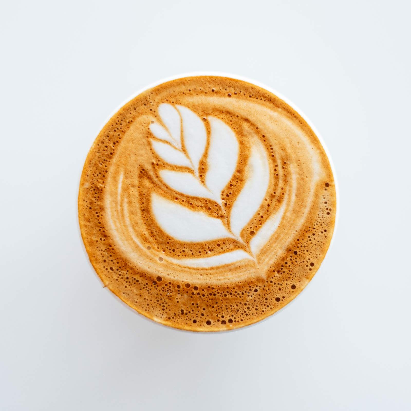 Platō Coffee - Simbithi — photo 2