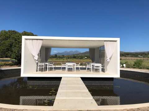 Hazendal Wine Estate — photo 4