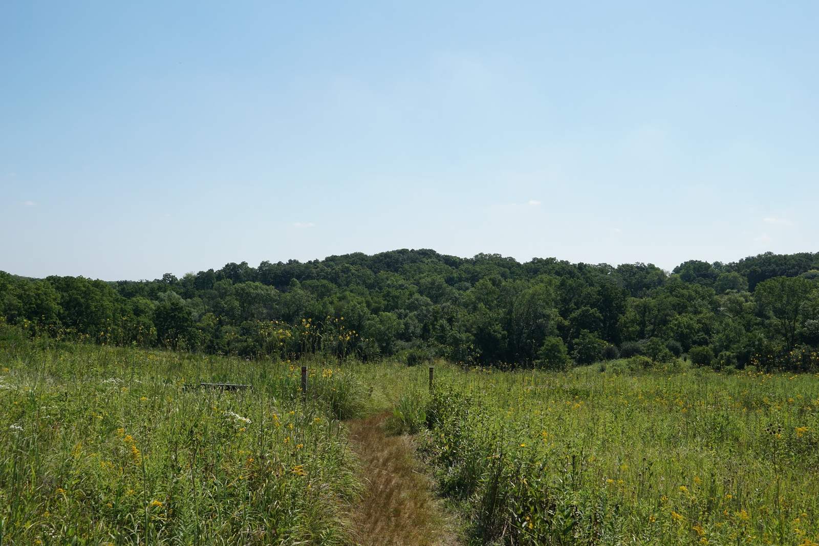 Wehr Nature Center — photo 1
