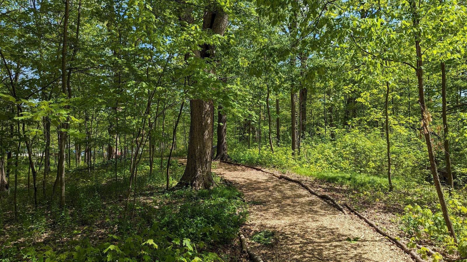 Wehr Nature Center — photo 4