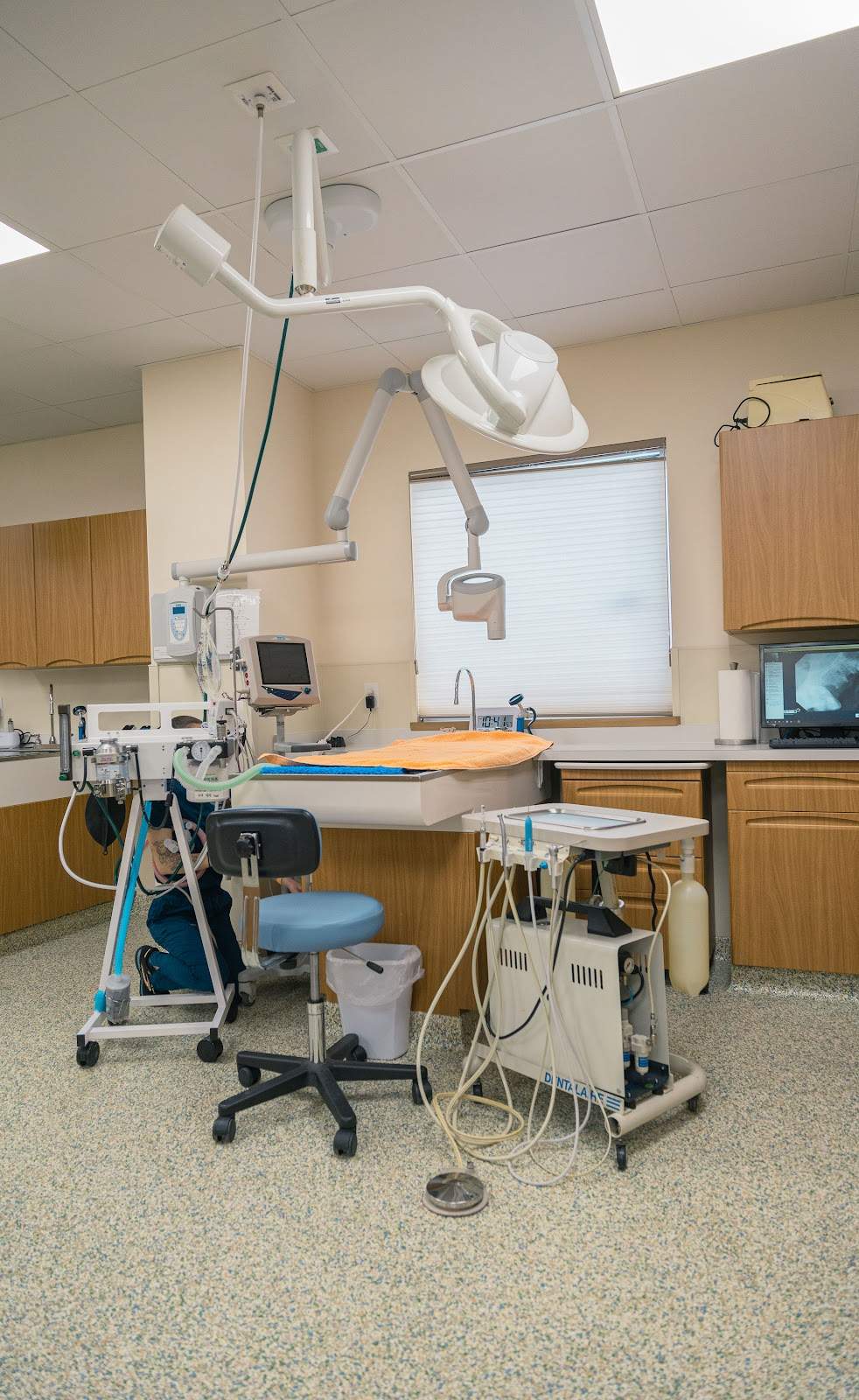 Advanced Animal Hospital - WI — photo 1