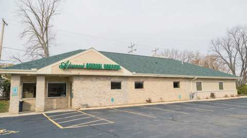 Advanced Animal Hospital - WI — photo 2