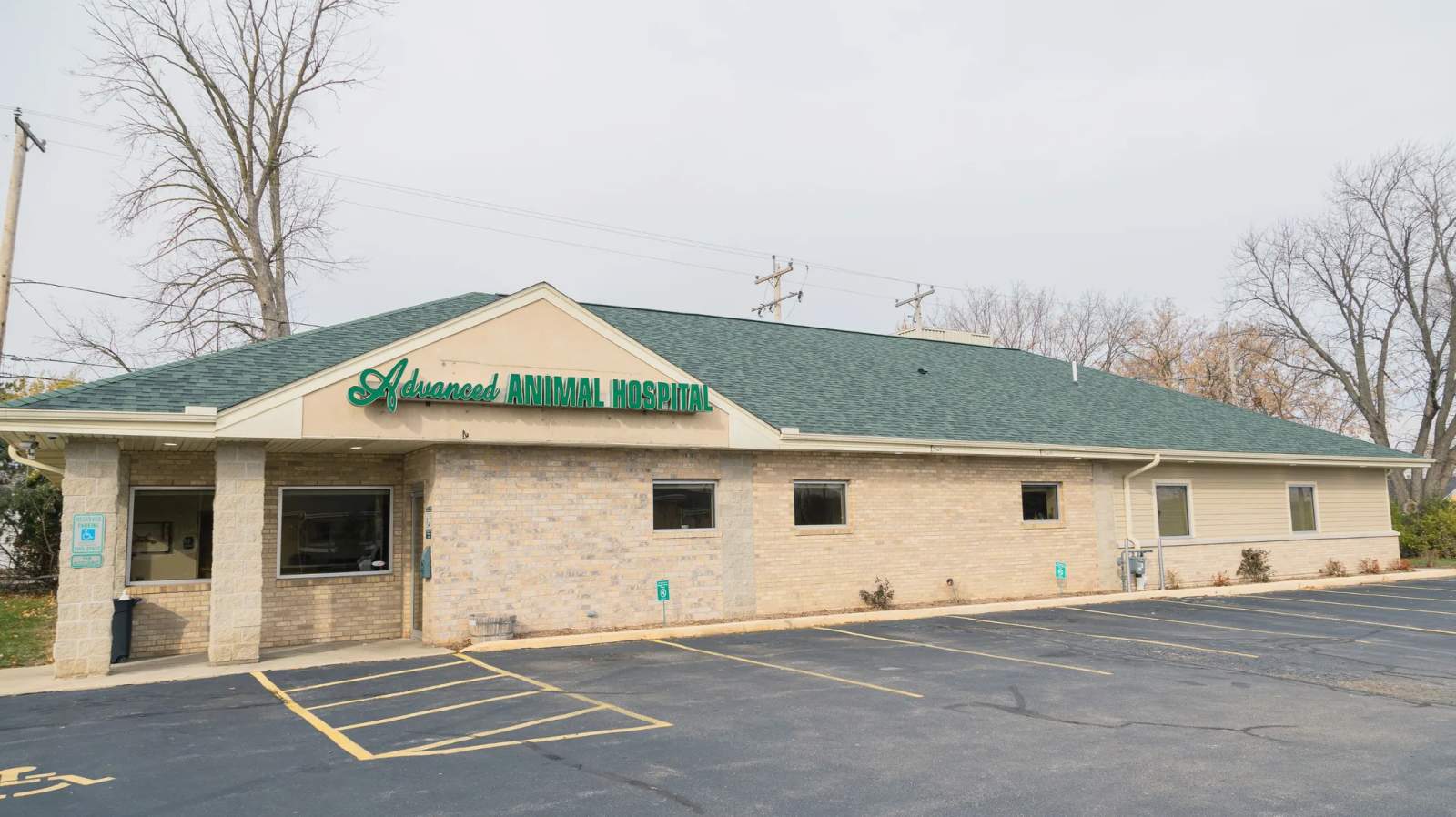 Advanced Animal Hospital - WI — photo 2