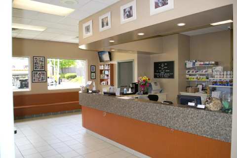 Advanced Animal Hospital - WI — photo 3