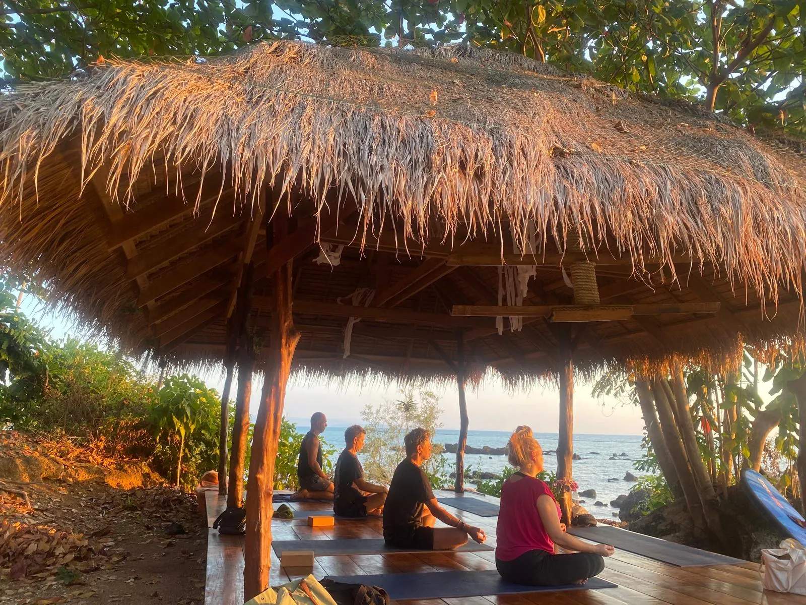 Down to earth yoga shala — photo 1