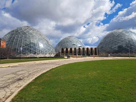 Mitchell Park Domes Horticulture Conservatory — photo 3