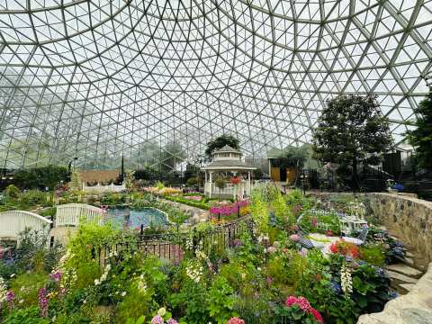 Mitchell Park Domes Horticulture Conservatory — photo 2