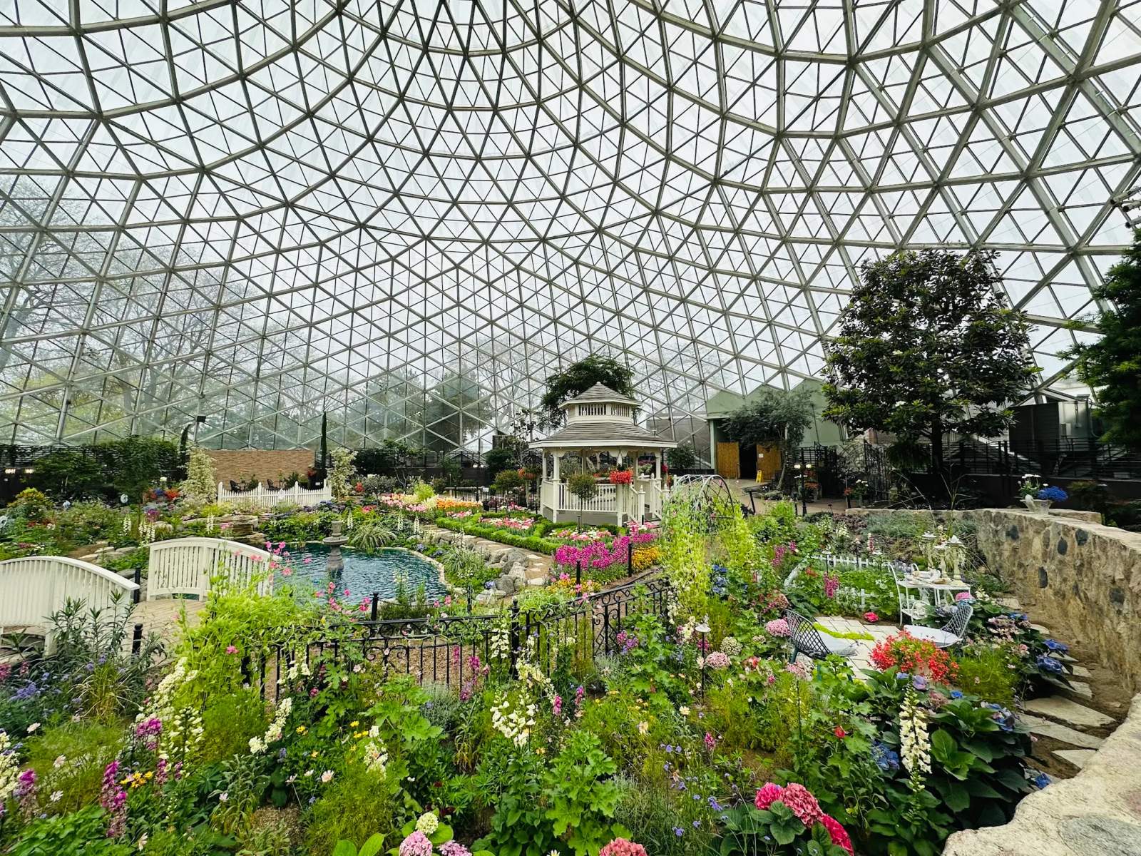 Mitchell Park Domes Horticulture Conservatory — photo 2
