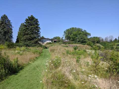 Forest Beach Migratory Preserve — photo 5