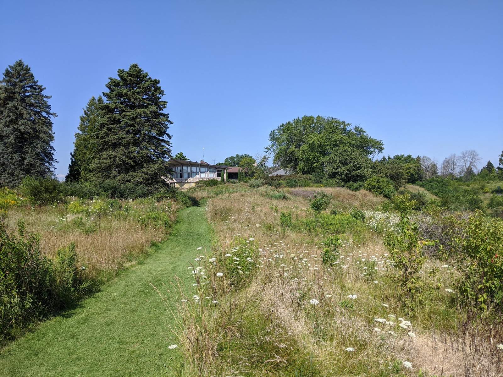Forest Beach Migratory Preserve — photo 5