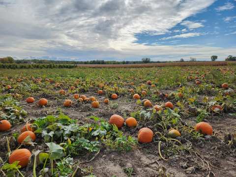 Barthel Fruit Farm — photo 2