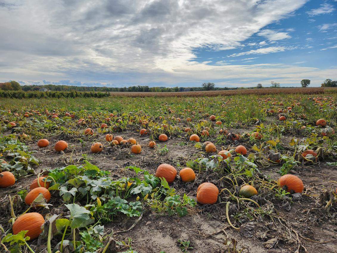 Barthel Fruit Farm — photo 2