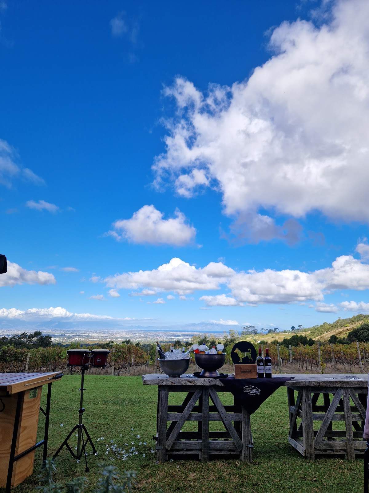 Silvermist Organic Wine Estate — photo 3