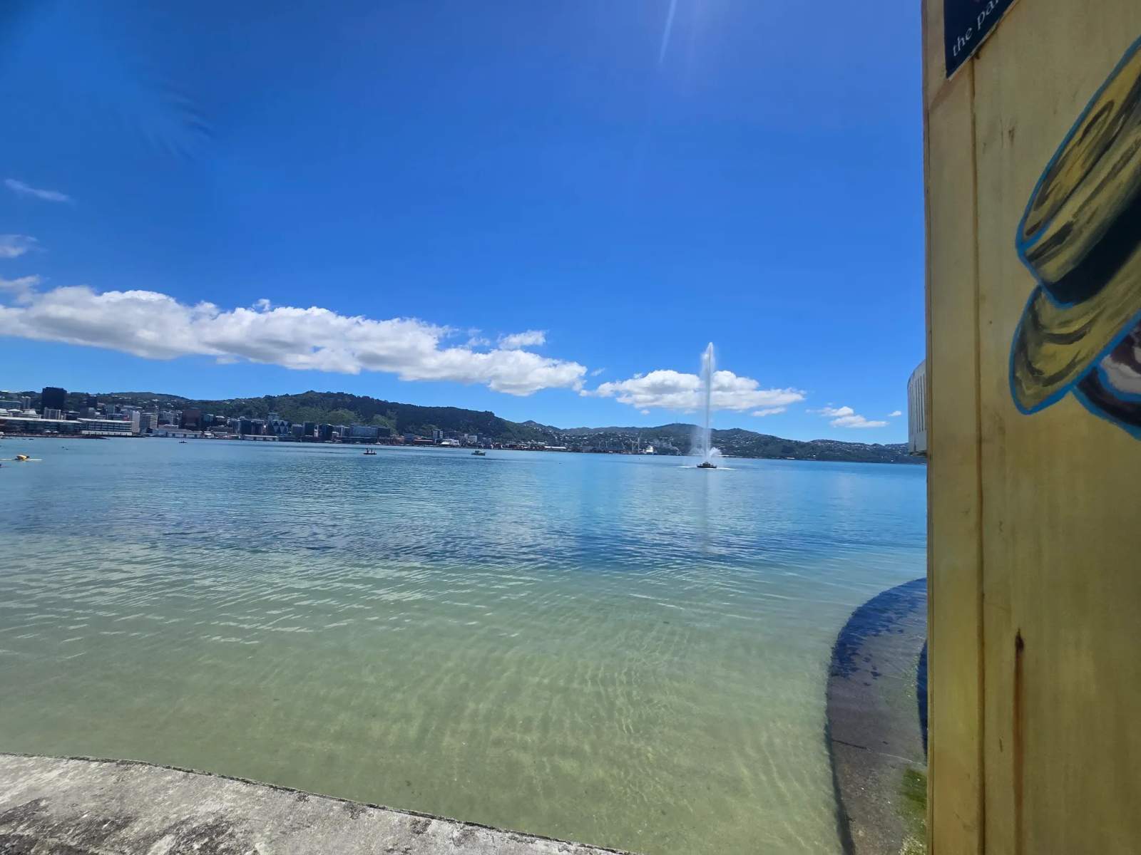 Oriental Bay Beach — photo 2